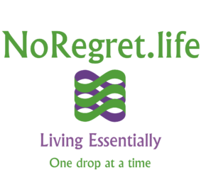 NoRegret.Life